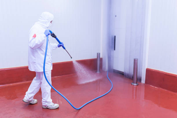 Best Playground Equipment Cleaning  in Sedgwick, KS
